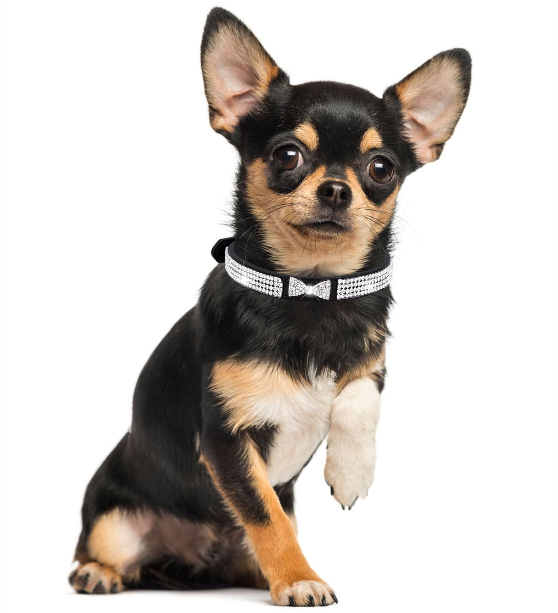 Diamond Dog Collar for Small Dogs Fancy Crown Bling Crystal Dog Collar Glitter Jeweled Girl Puppy Cat Collars for XXS XS Small Medium Large Dogs (Blue,M) - Image 3