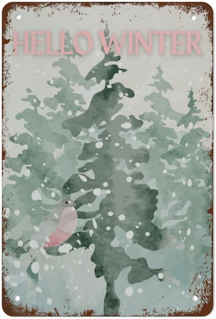 Kwqdozf As Pic Vintage Metal Tin Sign Hello Winter Wall Art For Home Kitchen, 8X12 Inch