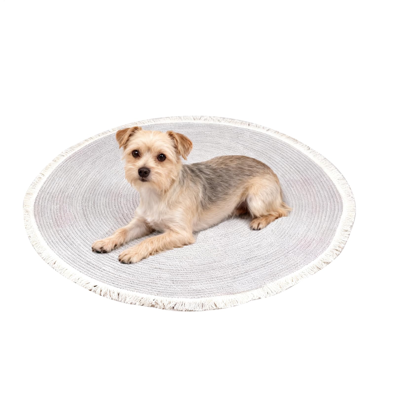 Alfombra para rascar gatos, alfombra de algodón para mesa de café | alfombra de suelo lavable con , para salón, dormitorio, casa, sala de juegos, entrada, apartamento, terraza