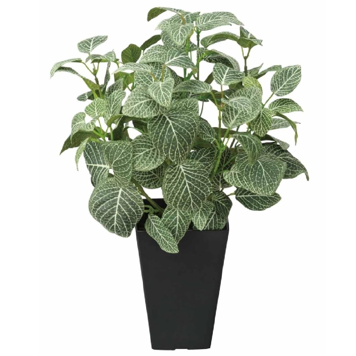 光触媒 人工観葉植物 フィトニア 人工観葉植物 フィットニア 18cm