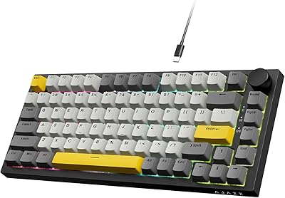 A.JAZZ AK820 有線メカニカルキーボード明月軸 75% 81キーUSB ホットスワップ対応ゴースト防止Gasket構造 RGBバックライト付きTT 5層サイレンサーゲーミングキーボードPBTキーキャップOEMカスタマイズシャフトボディ仕事用/説明書/Windows Vista/7/8/10/11、MACAndroid対応（黒グレー）