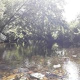  Opera Sound Live in (Tectoniku) (Live)