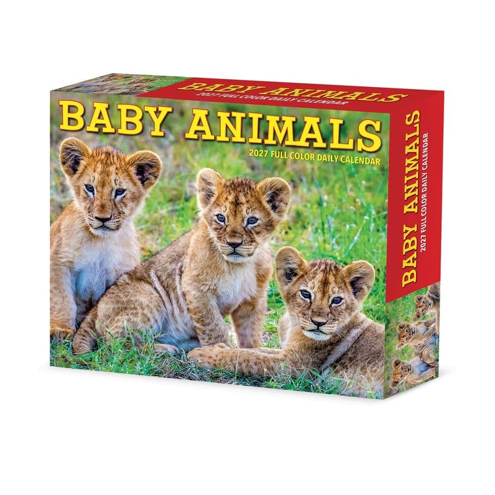 Willow Creek Press, Baby Animals 2027 5.4" x 6.2" Box Calendar