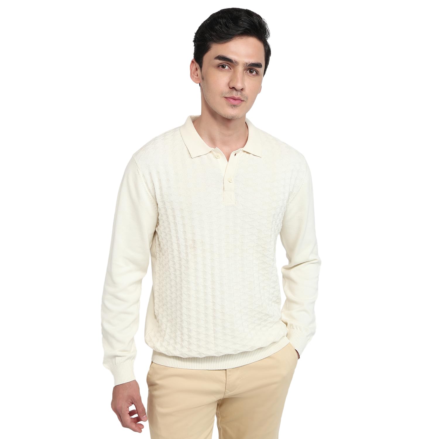 colorplus Men Regular Fit Structure Pattern Pure Cotton Full Sleeve V Neck Casual Sweater-picture-23