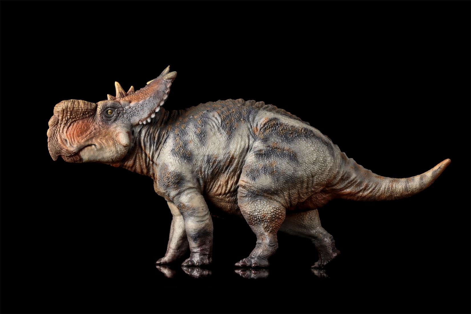 Amazon.co.jp: BACALYSO | HAOLONGGOOD 1/35 サイズ パキリノサウルス