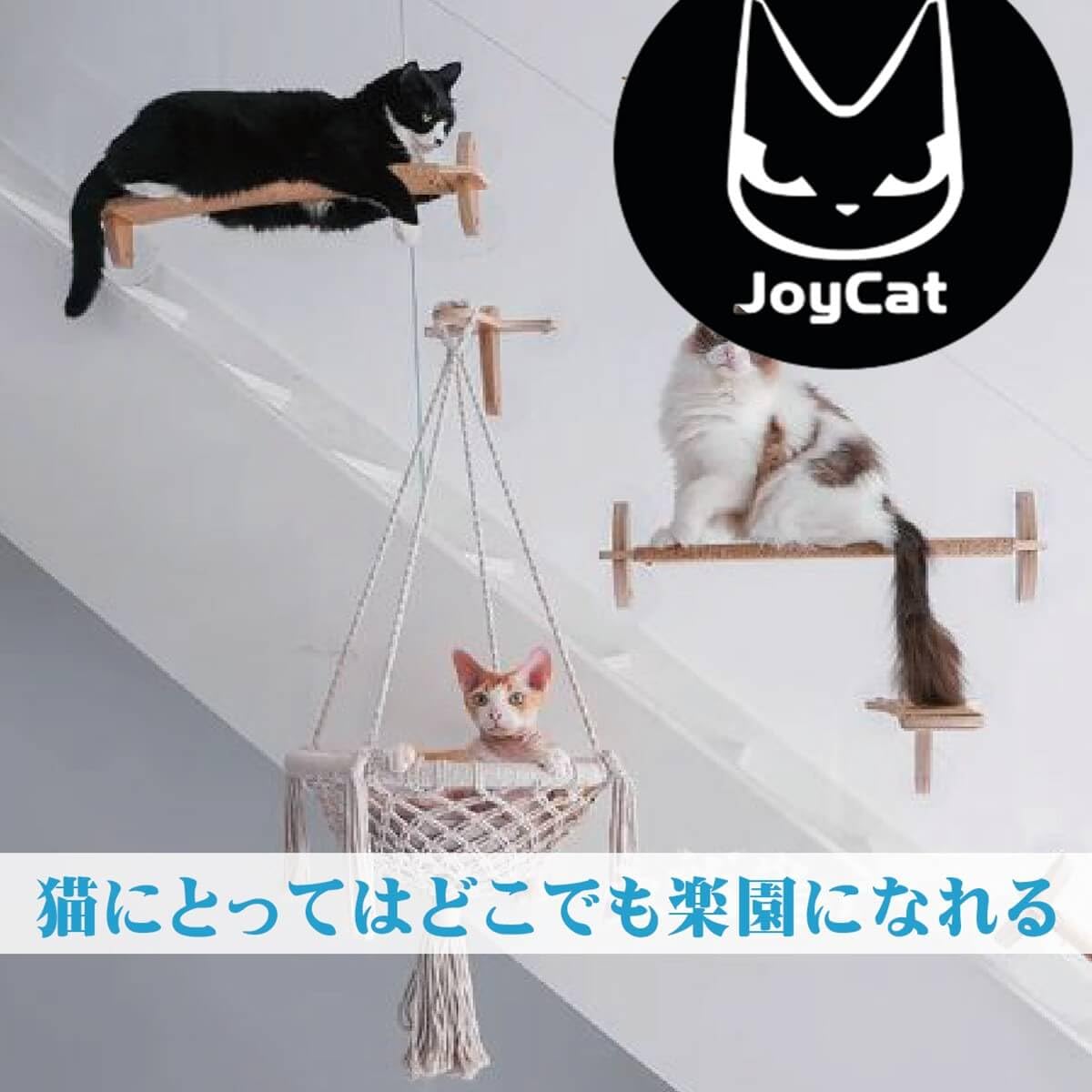 Amazon.co.jp: 猫用ベッド JOYCATアクリルエリプス MR-PETJC-090 自由