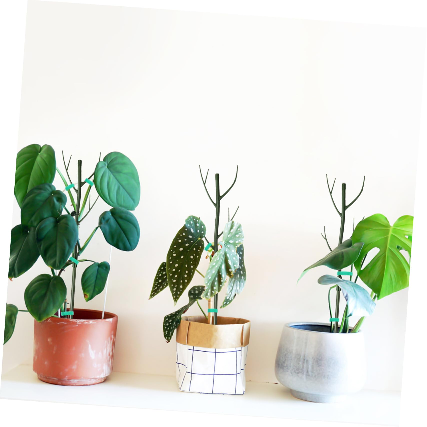 BESTonZON Tuteurs de Support pour Plantes Hautes, 1 Set en Plastique Vert, Installation Facile, Clips et Liens, pour Plantes D’intérieur et Jardin
