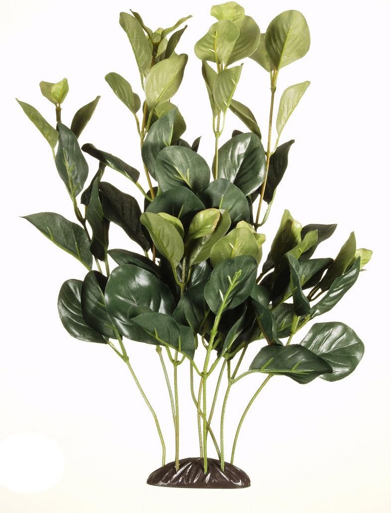 Marina Ecoscaper Bacopa Caroliniana Plant, 12Inch