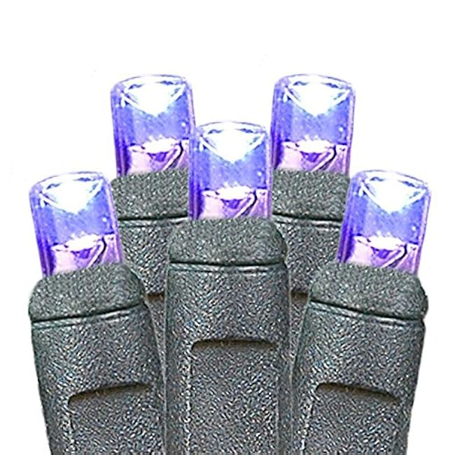 Novelty Lights 11 Feet Long, 50 LED Mini Black Wire Christmas Lights, Purple, End to End Connectable, UL Listed for Indoor/Outdoor Use