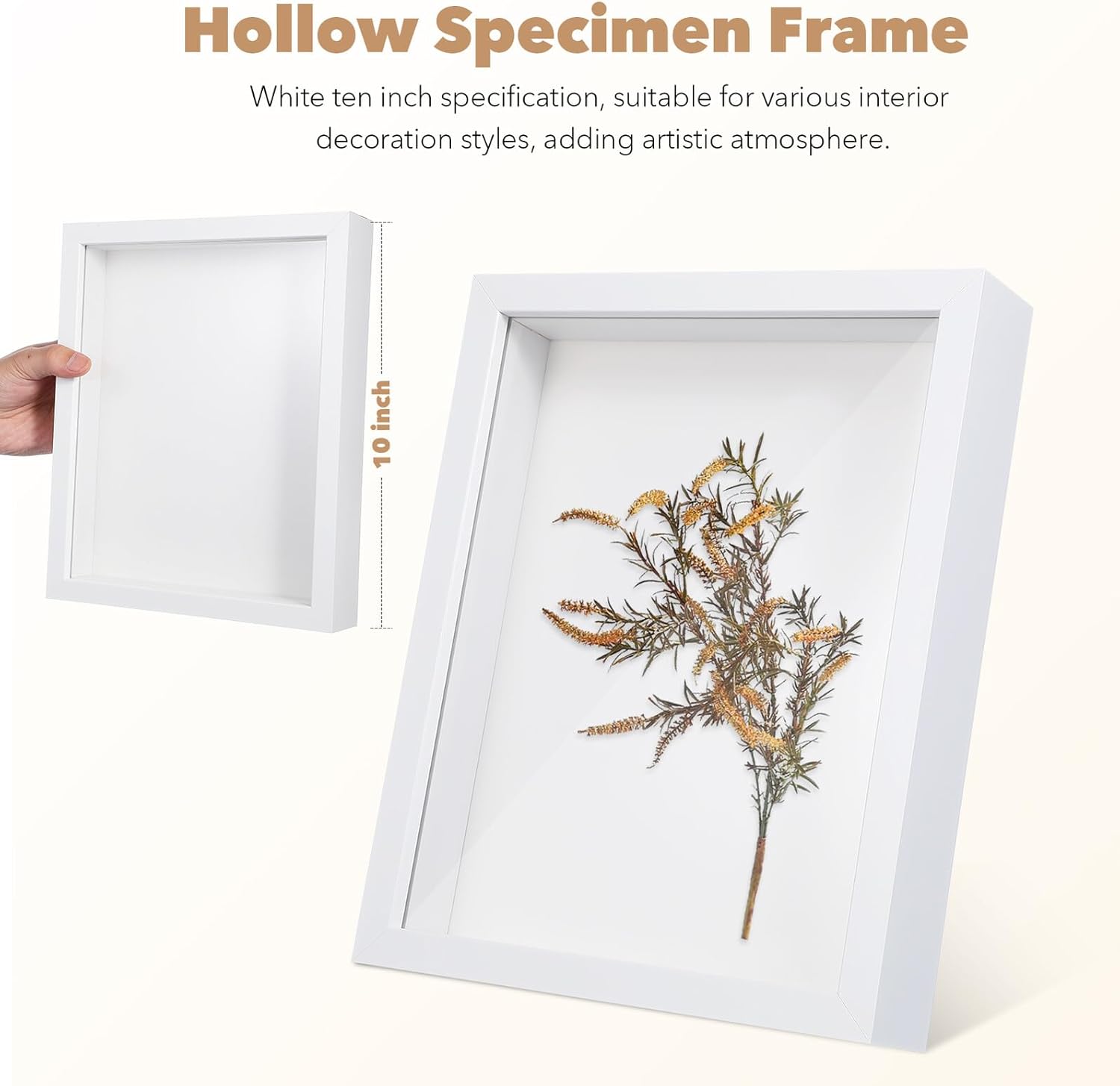 PRETYZOOM Shadow Box Picture Frame Display Case 2pcs 8x10 White Small Flower Display Box for Dried Plants and Keepsakes Tabletop Decoration