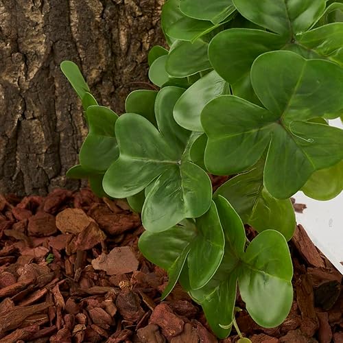 Miniatura 4 de WOLEDOE Plantas de reptiles para terrario, decoración de hábitat de anfibios, plantas colgantes artificiales con ventosa, trébol falso