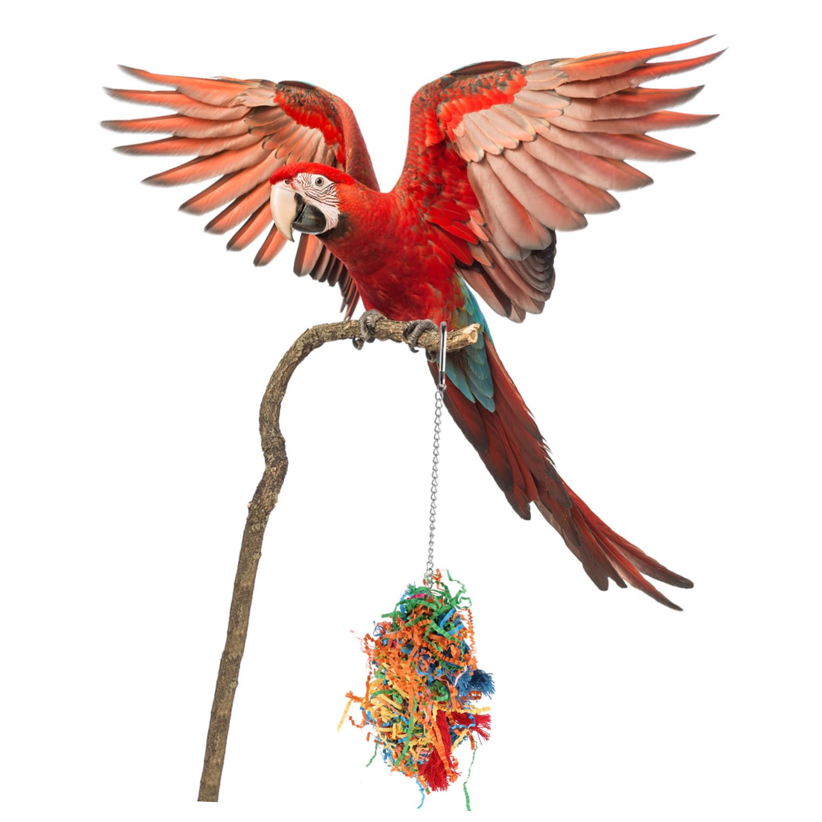 BESPORTBLE 8stücke Vogelspielzeug Für Papageien Kauspielzeug Hängend Mit Glocke Für Wellensittiche Und Nymphensittiche Sorgt Für Spaß Und Beschäftigung Im Vogelkäfig