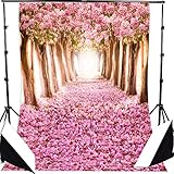 DODOING 5x7ft Photography Backdrop Cherry Blossoms Street Studio Backdrop Photo Photography Background Beautiful Flower Sakura Road