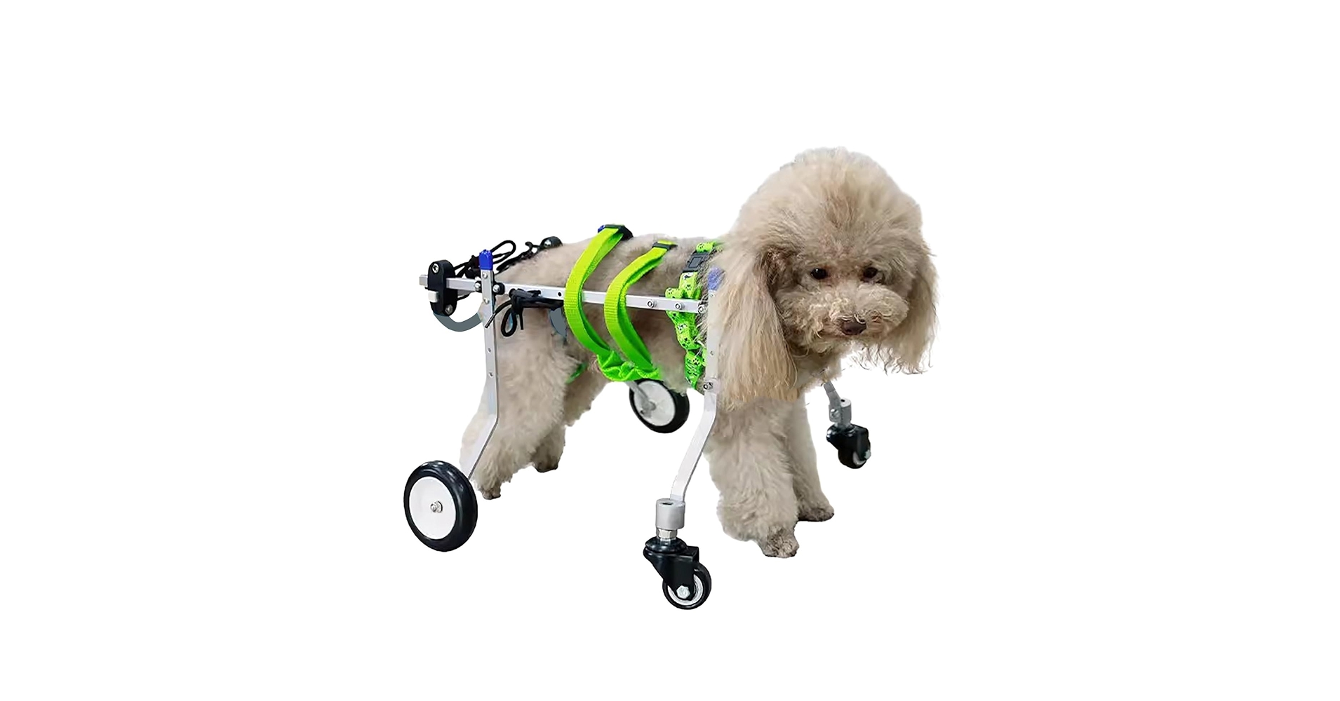 naniwa-parisページ■小型犬用4輪　犬の車椅子　+オプション naniwa-parisページ□小型犬用4輪 犬の車椅子 +オプション