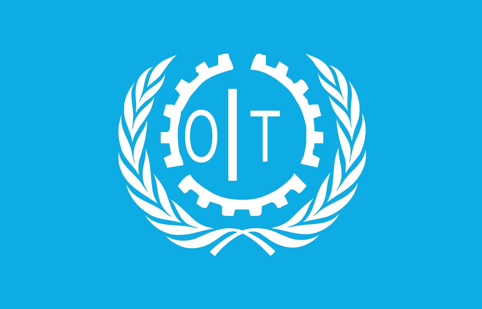 Drapeau OIT grand modèle pour remplacer vos emblèmes institutionnels usés