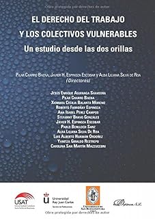 El Derecho del Trabajo y los Colectivos Vulnerables: Un Estudio Desde
