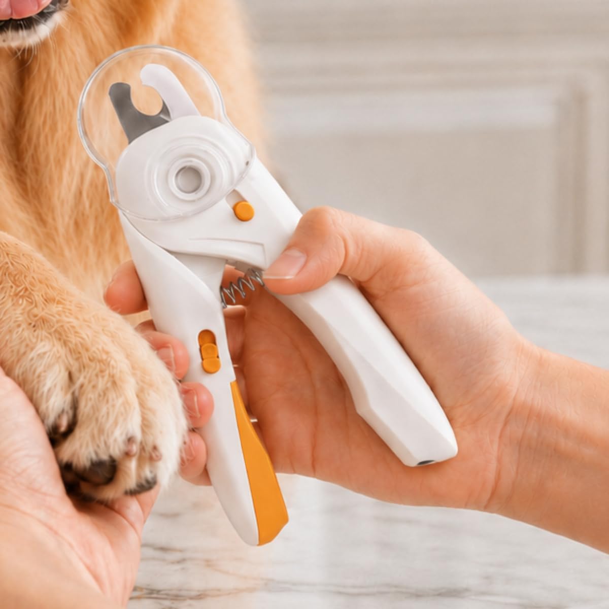 Cortador de Unha Pet com Luz LED para Cães e Gatos – Alicate Profissional em Aço Inox com