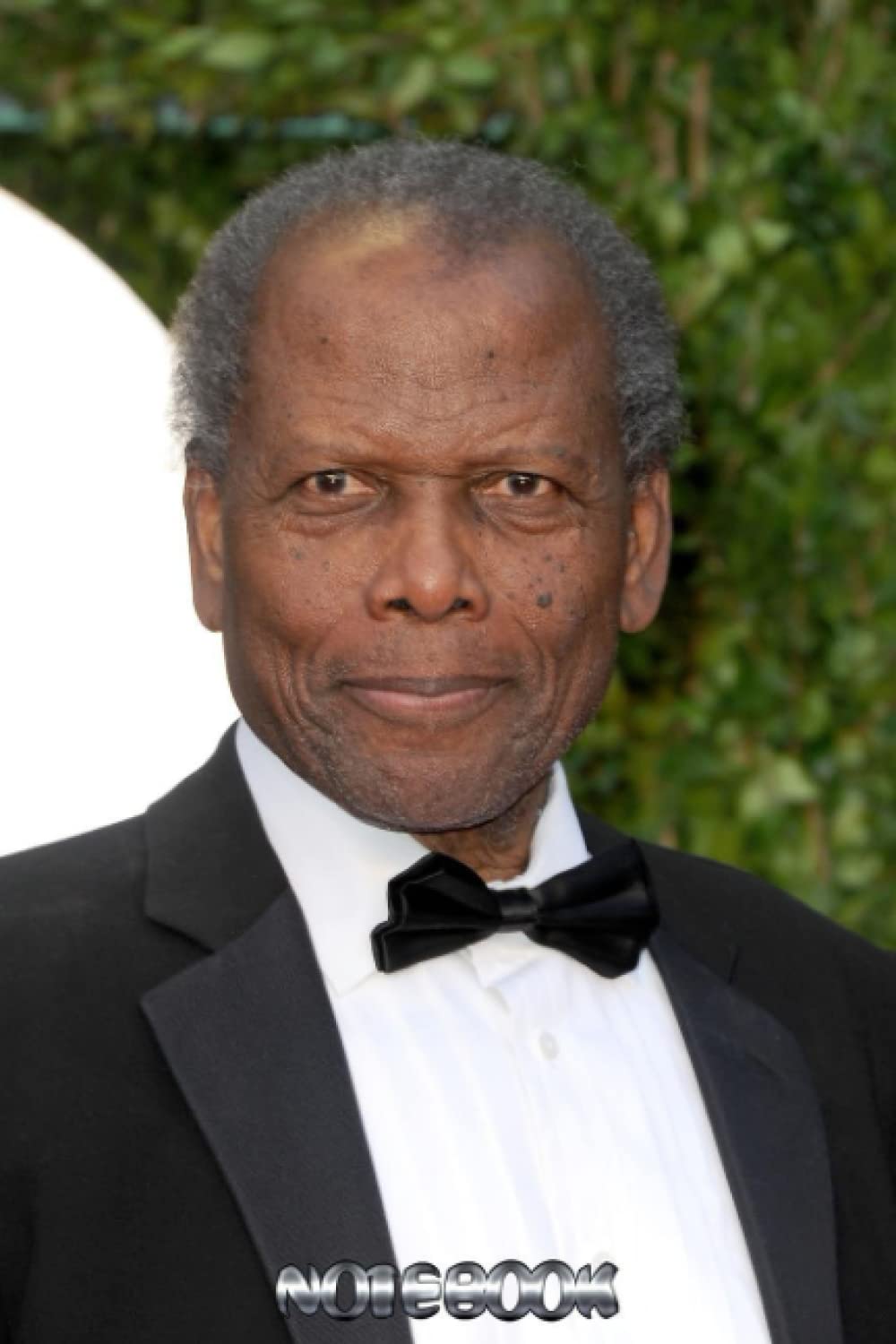 Carnet de notes Sidney Poitier pour s'organiser en classe