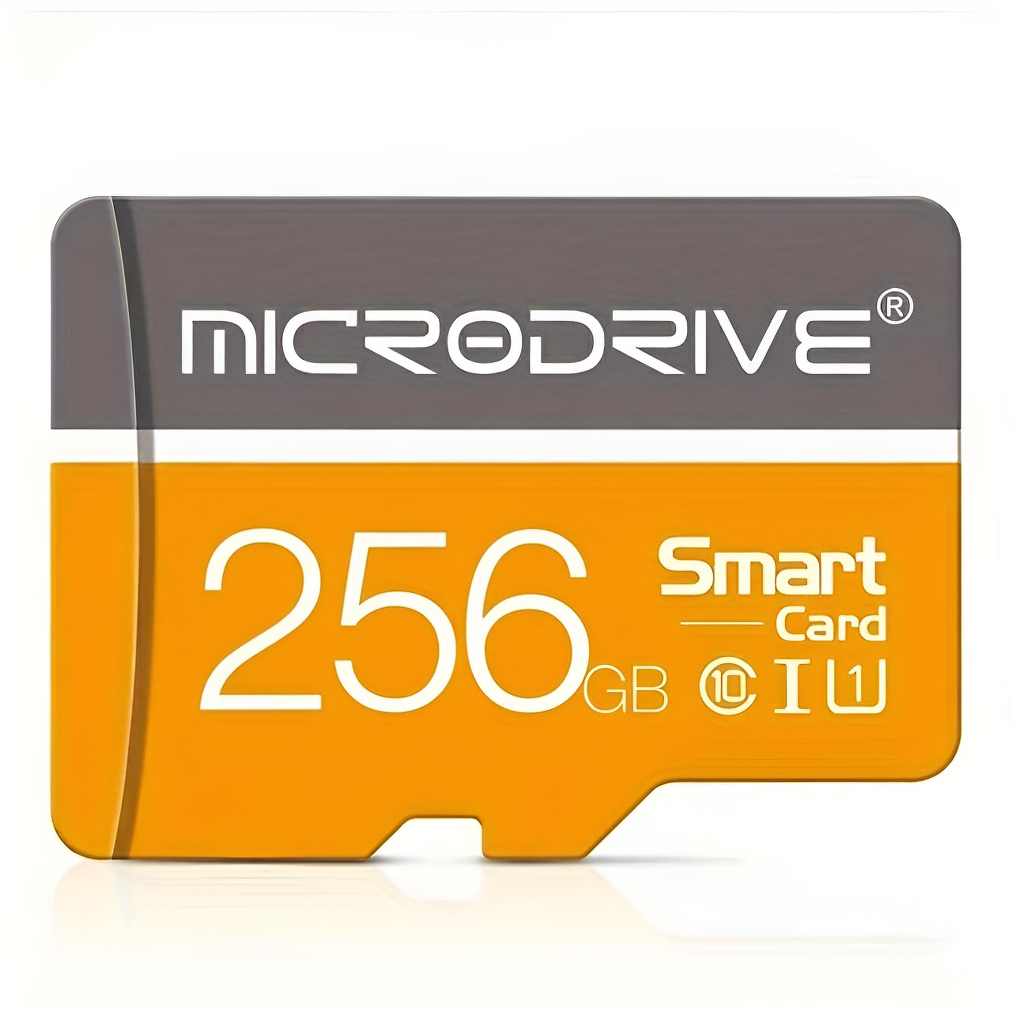 Tarjeta de Memoria MicroSDXC 256 GB Alta Velocidad U3 V30 A1 - Tarjeta Micro SD Clase 10 4K UHD para Nintendo Switch, GoPro, Dron, Tablet Android y Cámara Dashcam + Adaptador SD