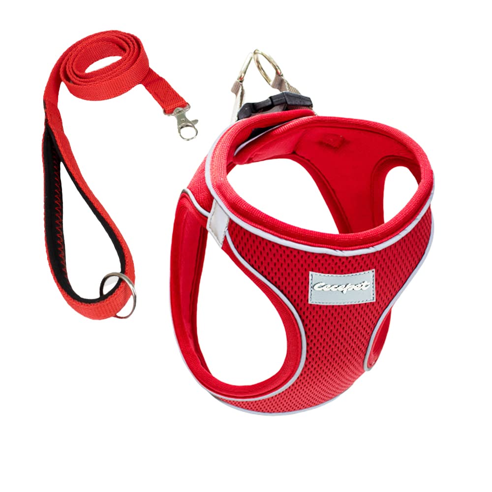 Cool Walk Air Mesh Kırmızı Köpek Göğüs Tasması Small