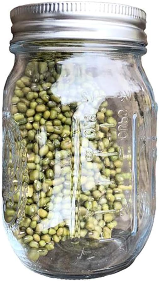 vaso da muratore con coperchio per insalata