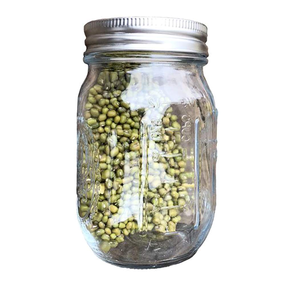 NOLOWY Sprouting Jar With 304 Stainless Steel Screen Lid Wide Mouth Sprouter Germinator For Organic Alfalfa Bean