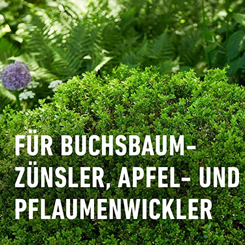 COMPO BIO Universal-Trichterfalle für Buchsbaumzünsler, Apfel- und Pflaumenwickler, Lockstoff separat erhältlich, 1 Stück – Ansicht 4