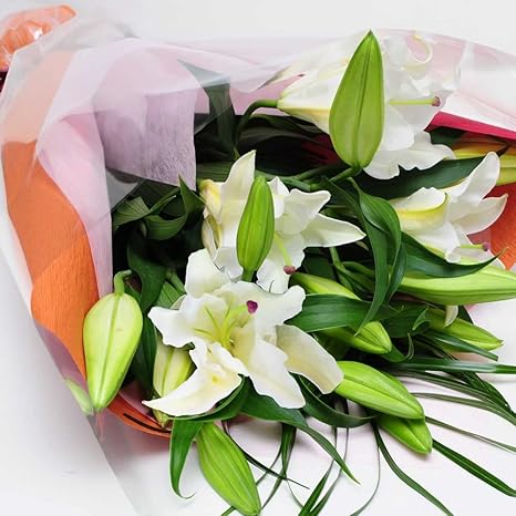 Amazon 誕生日や記念日に喜ばれる生花の花束 カサブランカ 15輪の花束 花工房フラワーギフト 花束 オンライン通販 Amazon 誕生日や記念日に喜ばれる生花の花束 カサブランカ 15輪の花束 花工房フラワーギフト 花束 オンライン通販