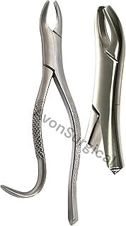 German EXTRACTING Forceps NO 24 Dental Surgical Instruments Extraction Forceps