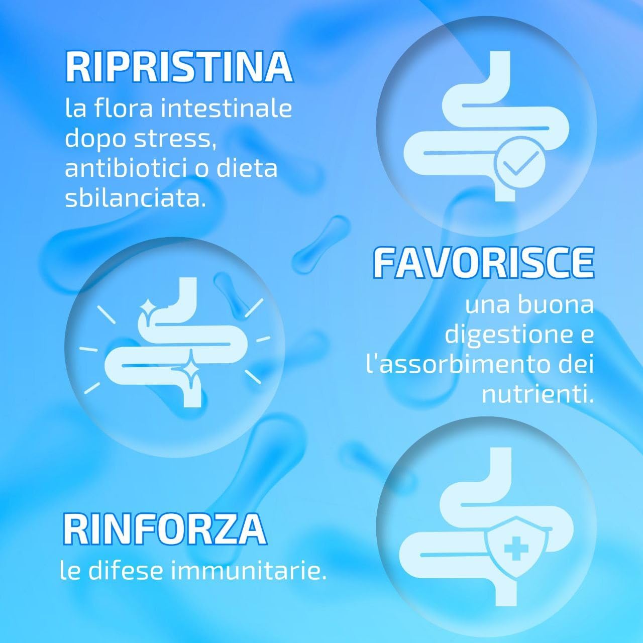 Fermenti Lattici Probiotici Prebiotici 250 Capsule (Scorta 4 Mesi) - 20 Miliardi CFU, 20 Ceppi Senza Lattosio, con Inulina, Bromelina e Vitamine B - Flora Intestinale, Gonfiore Addominale e Digestione
