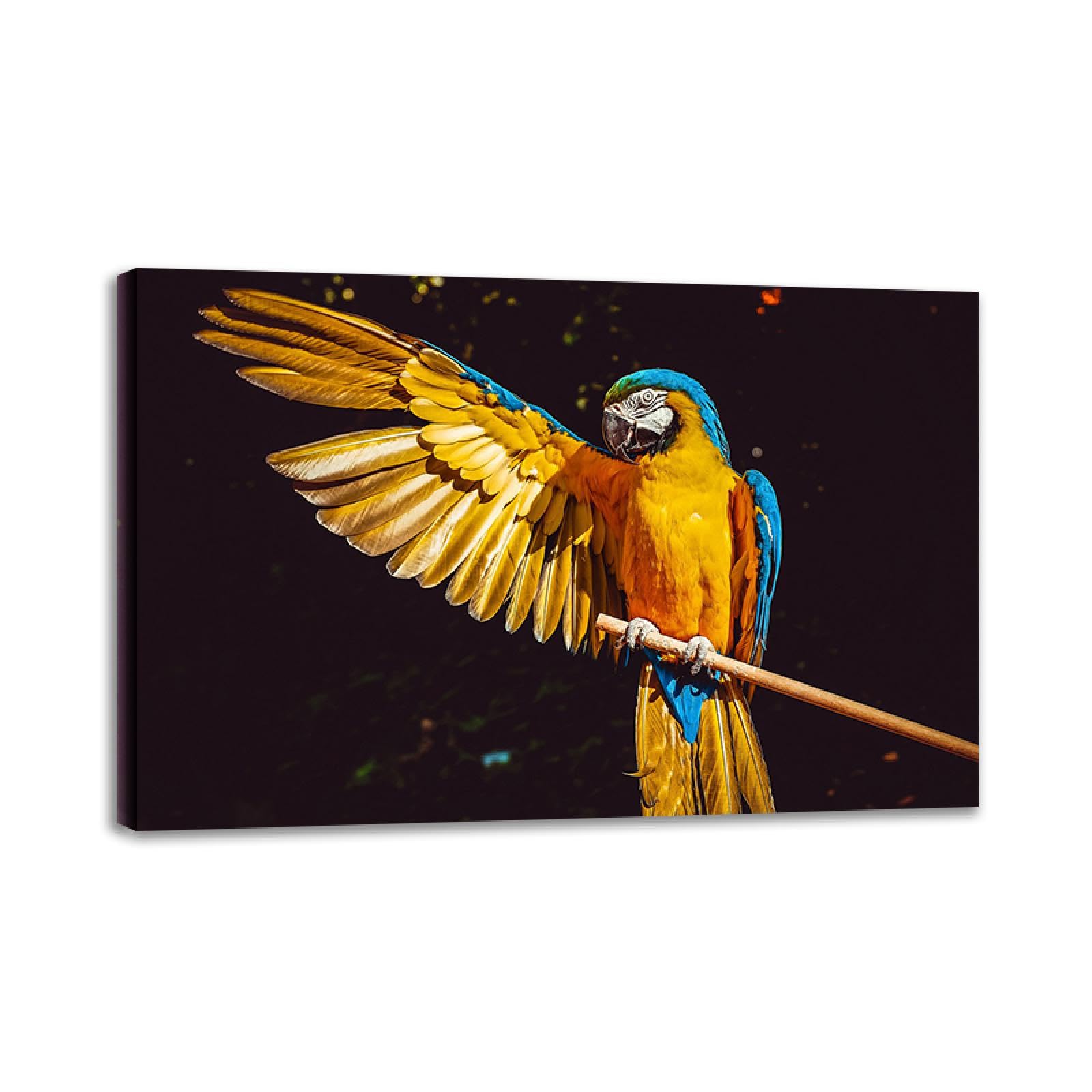 Amazon.co.jp: 黄色のコンゴウインコの絵。動物キャンバス壁アート絵画