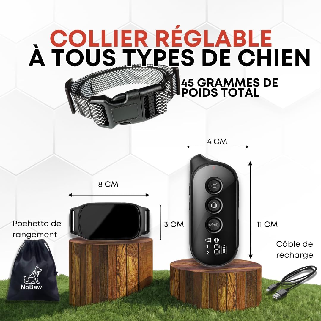 Collier noir léger et ajustable pour chiens