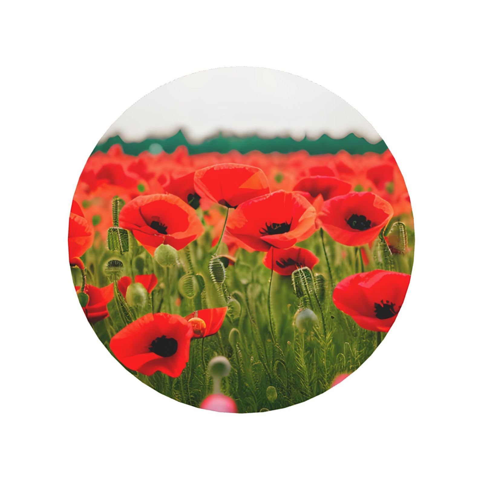 Poppy Flowers Vivid Petals Print Refrigerator Magnet,Magnets For Refrigerator Decoration, Kitchen, Office, Wall