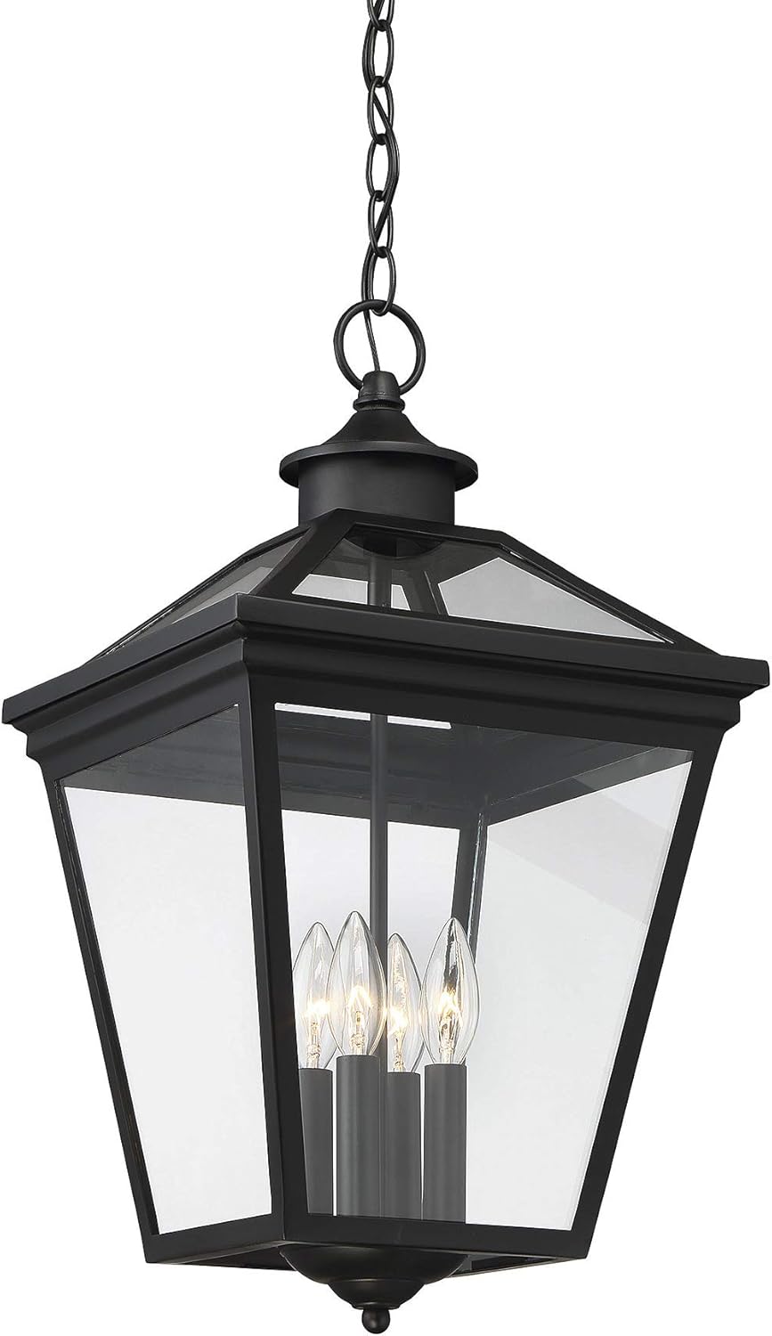 Popular Savoy House Ellijay 12 Steel Hanging Lantern in Black 5-145-BK