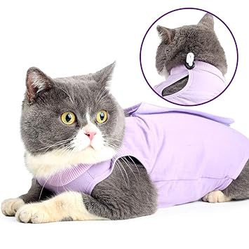 Cat Professional Recovery Suit for Abdominal Wounds or Skin Diseases, E-Collar Alternative for Cats and Dogs, After Surgery Wear, Pajama Suit (M, Purple)