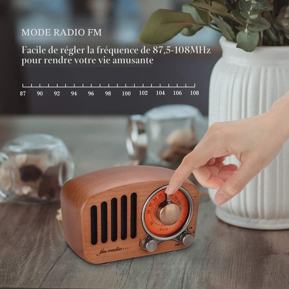 Qoosea Radio Portable Haut-parleurs Bluetooth Faits à la Main Rétro en Bois Bluetooth 4.2 Mini Haut-Parleur avec Caisson de Basses Super Graves avec Radio FM Prise D’entrée Audio (R919)