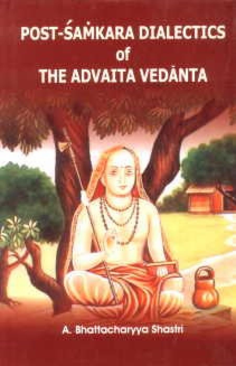 Post-Samkara Dialectics of the Advaita Vedanta Hardcover – 30 Sept. 2009