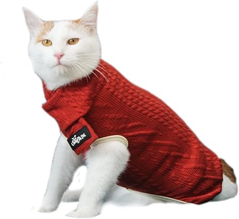 amazon cat outfits