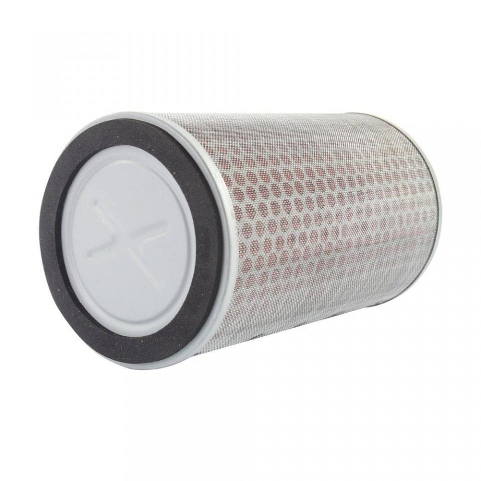 Filtro de aire Filtrex para moto Honda 1300 CB 2003 a 2004 17210-MEJ-003