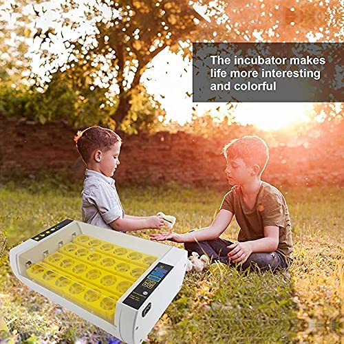 Automatische ei-incubator, 24 eieren geleid hoog-efficiëntie automatische temperatuurregeling, automatische ventilatie… - Afbeelding 8