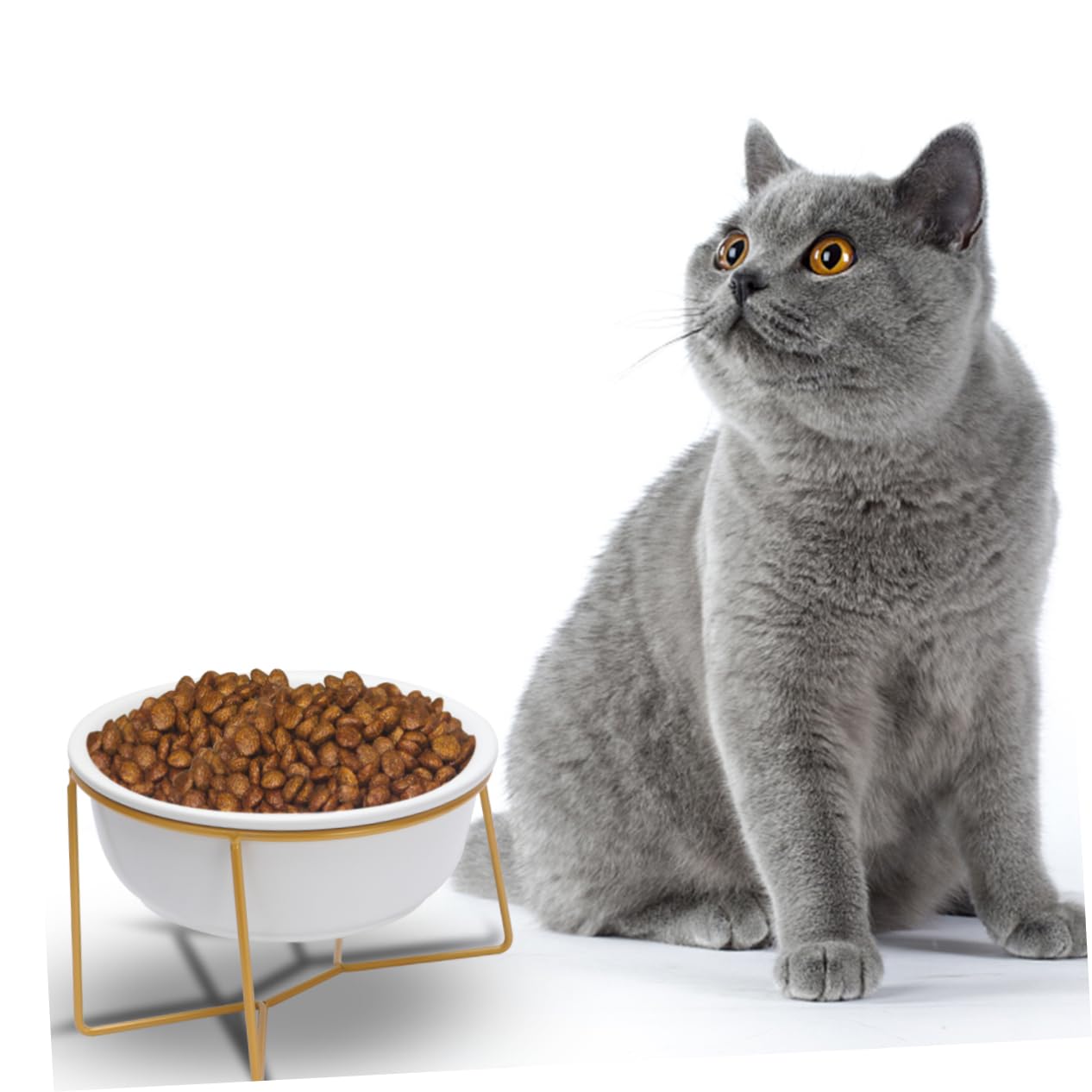 Erhöhter Keramik Futternapf für Hund und Katze mit 800ml