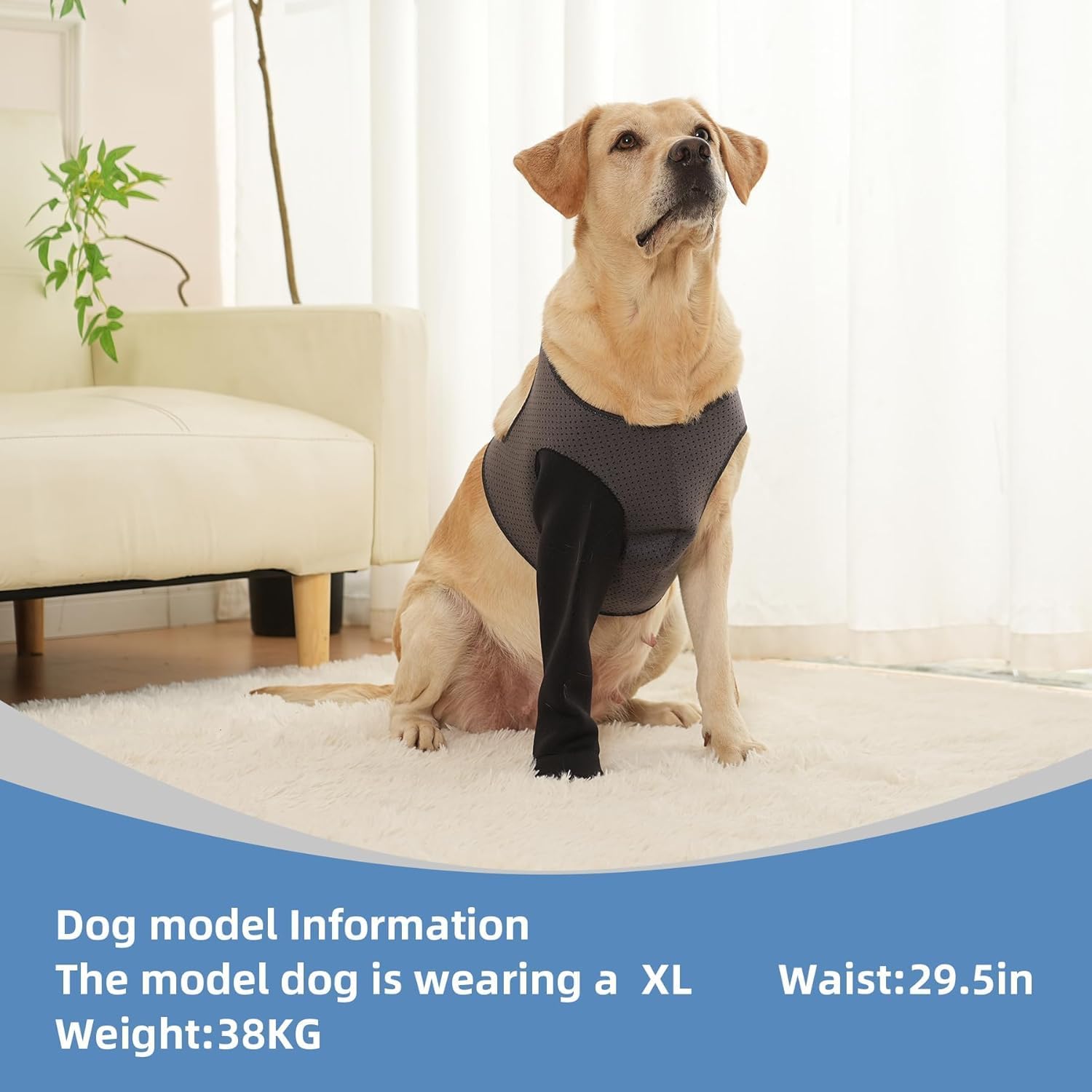 Dog Socks to Prevent Licking Paws ，Breathable Dog Leg Sleeve to Stop Licking and Biting， Firm and Secure Protect Wounds Dog Recovery Sleeve Socks (XL-Left)