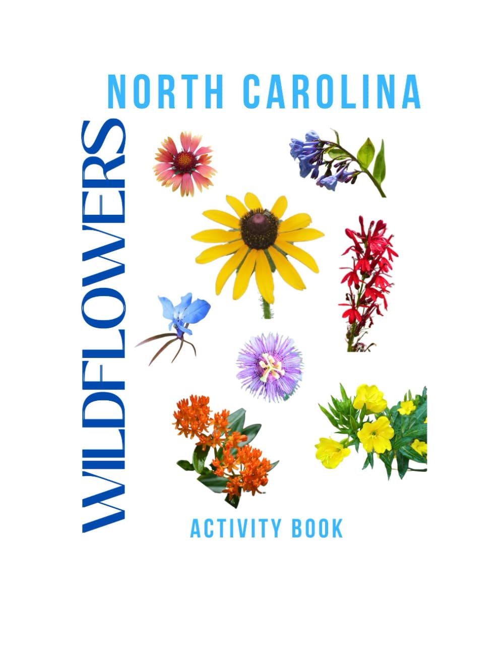 Wildflowers of North Carolina Activity Book: A Young Explorer's Guide to Finding & Identifying Native Flowers of the Tar Heel State! (North Carolina Nature Explorer Series)