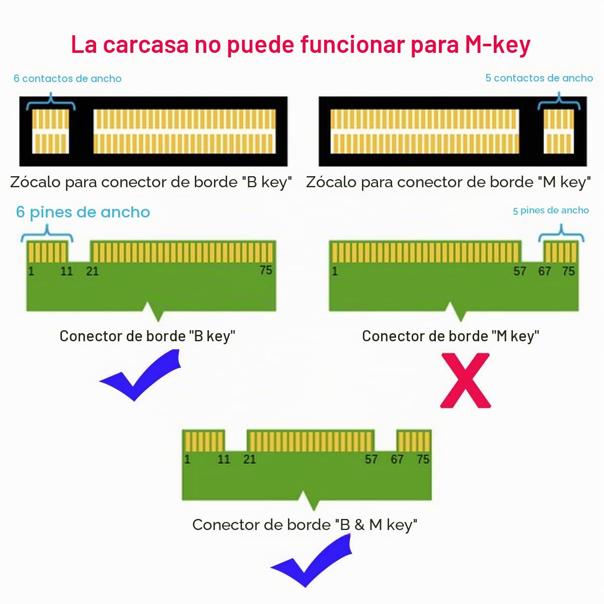 CableCC Carcasa conversora adaptadora 2 en 1 de M.2 NGFF B-Key y mSATA SSD a SATA 3.0 de