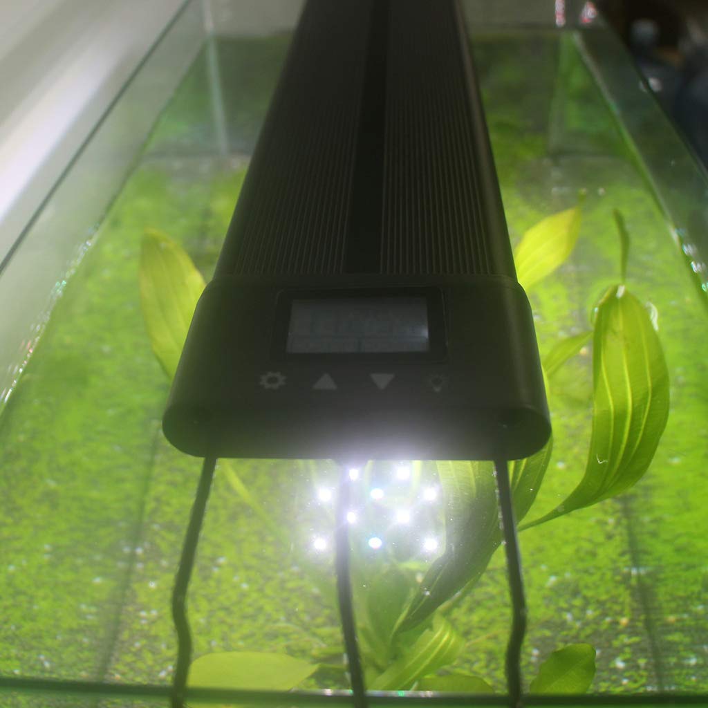 Pesce Timer Luce Acquario per Controller Luce e Programma 24 Ore immerso per C 5V-30V Simulazione Alba Tramonto ABS