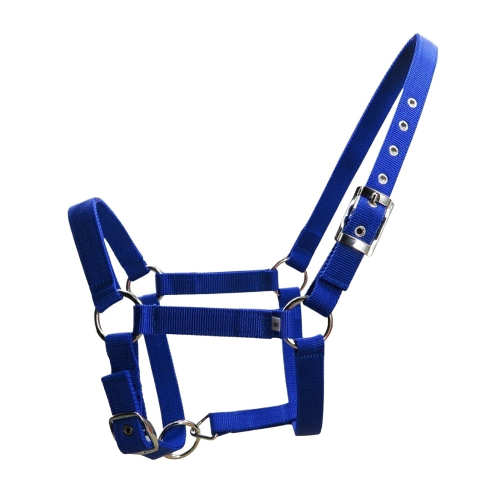 Cavezza Per Cavallo Testiera imbottita regolabile for forniture equine(Black XL)