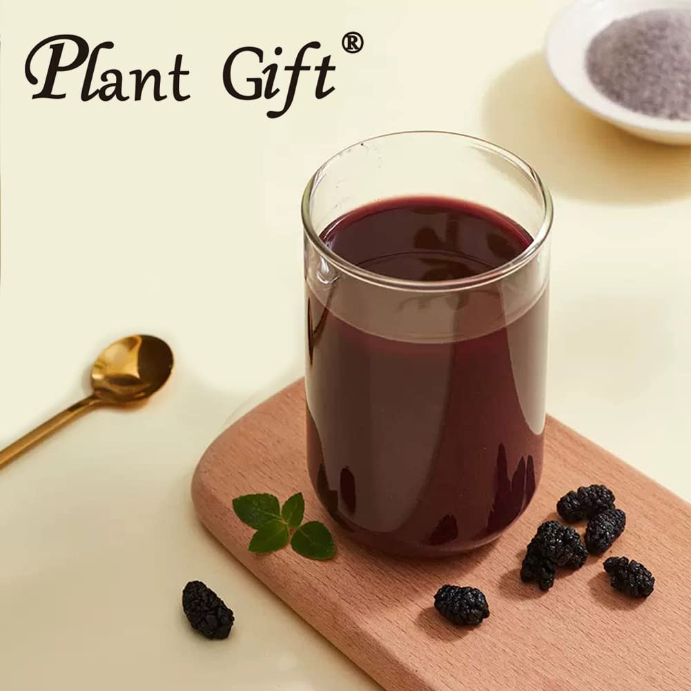 Plant Gift 100% Pure Mulberry Powder 桑葚粉 Polvo dietético natural, excelente sabor para bebidas, batidos y bebidas, polvo no GM - sin relleno, sin aditivos, yogur y más 100g / 3.25o