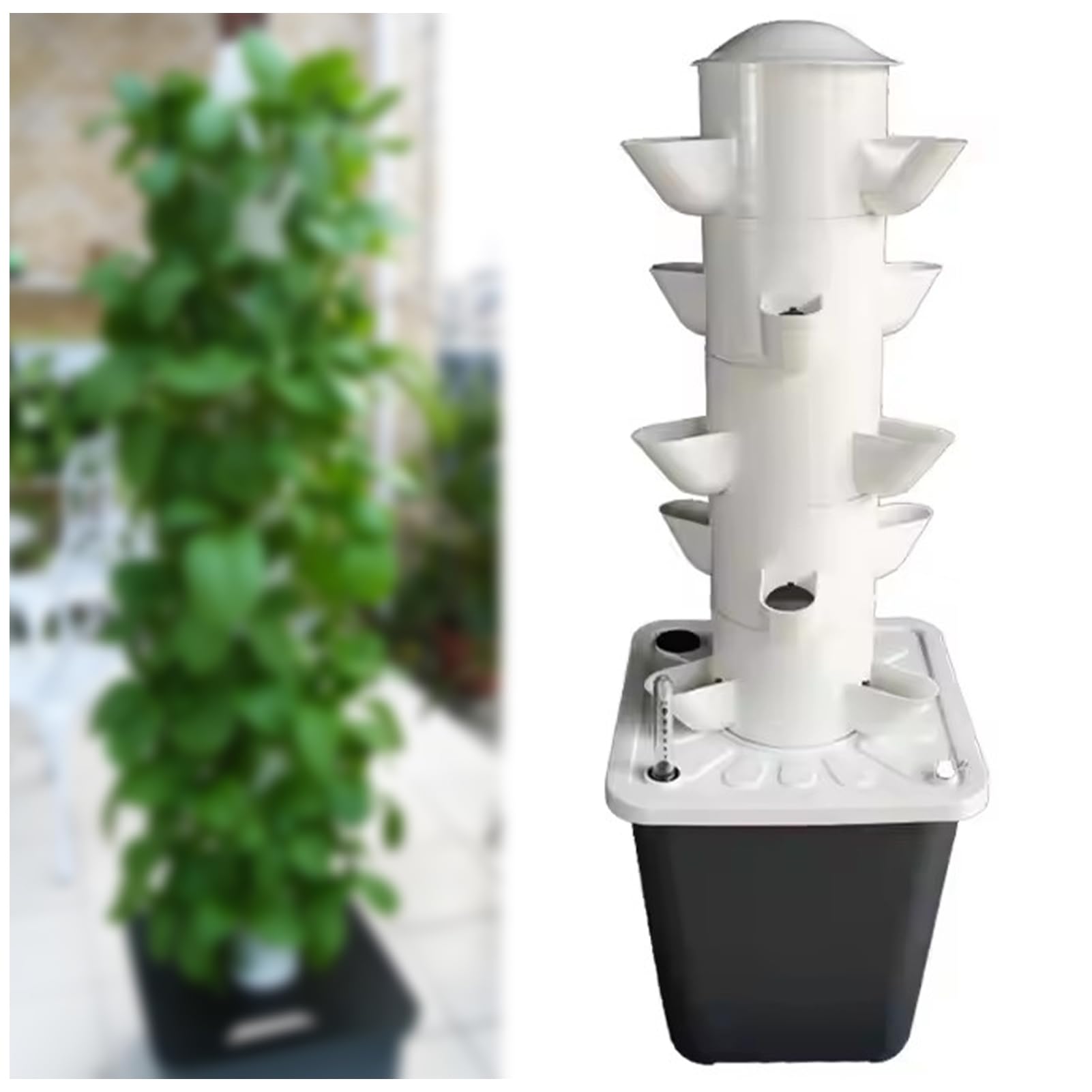 Amazon｜FXNFXLA 水耕栽培タワーガーデン栽培システムキット、15植物