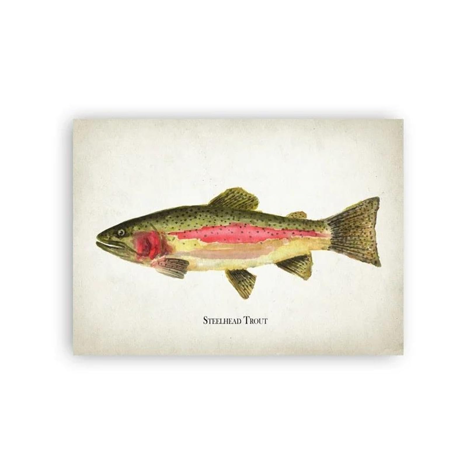 Tableau Déco Nature Pêche Impression sur Toile Artistique Poisson 30x40cm
