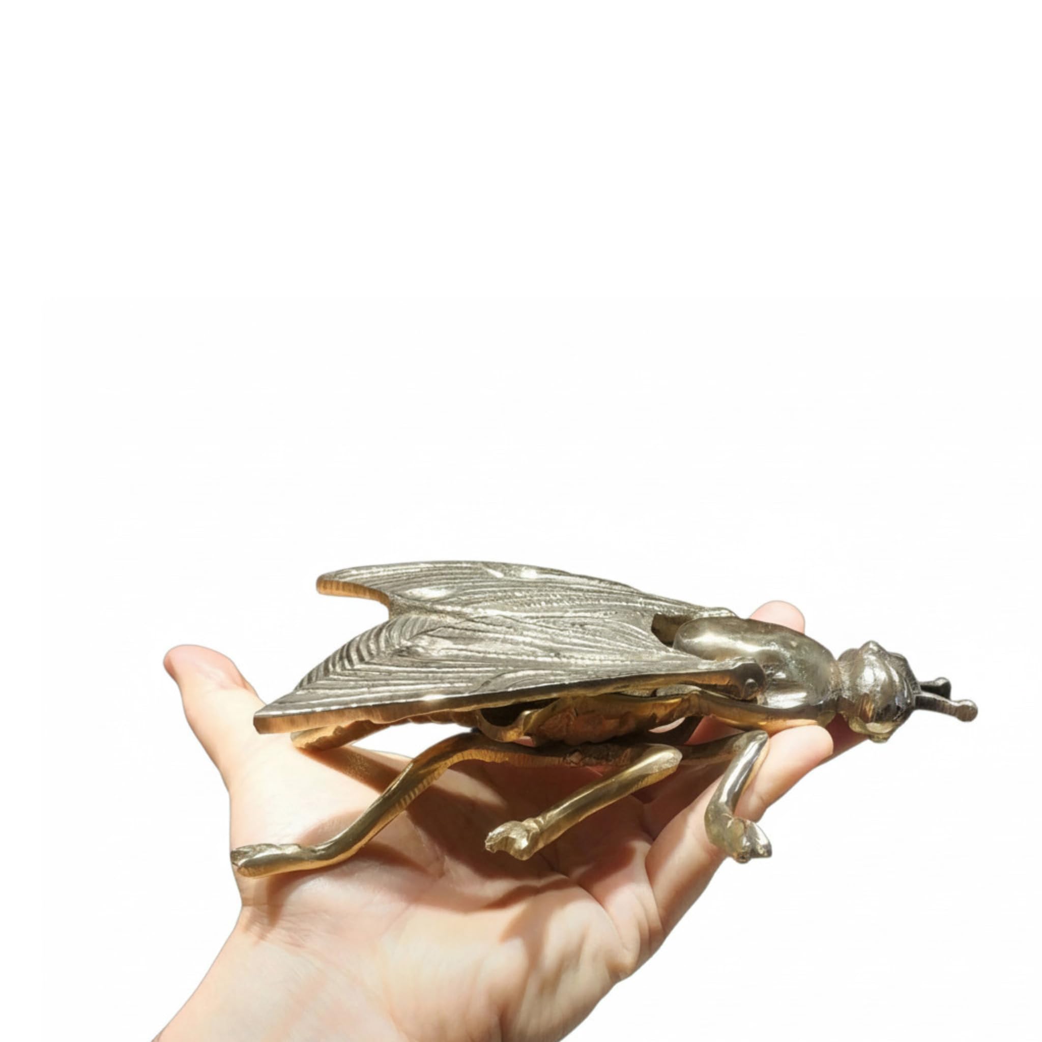 cigarette fly Amazon.com: Anatolica Solid Brass Fly Ashtray with Hinged Wings Antique  Gold Trinket Box 7 Inch Decorative Cigarette Holder Jewelry Storage Dish :  Clothing, Shoes & Jewelry